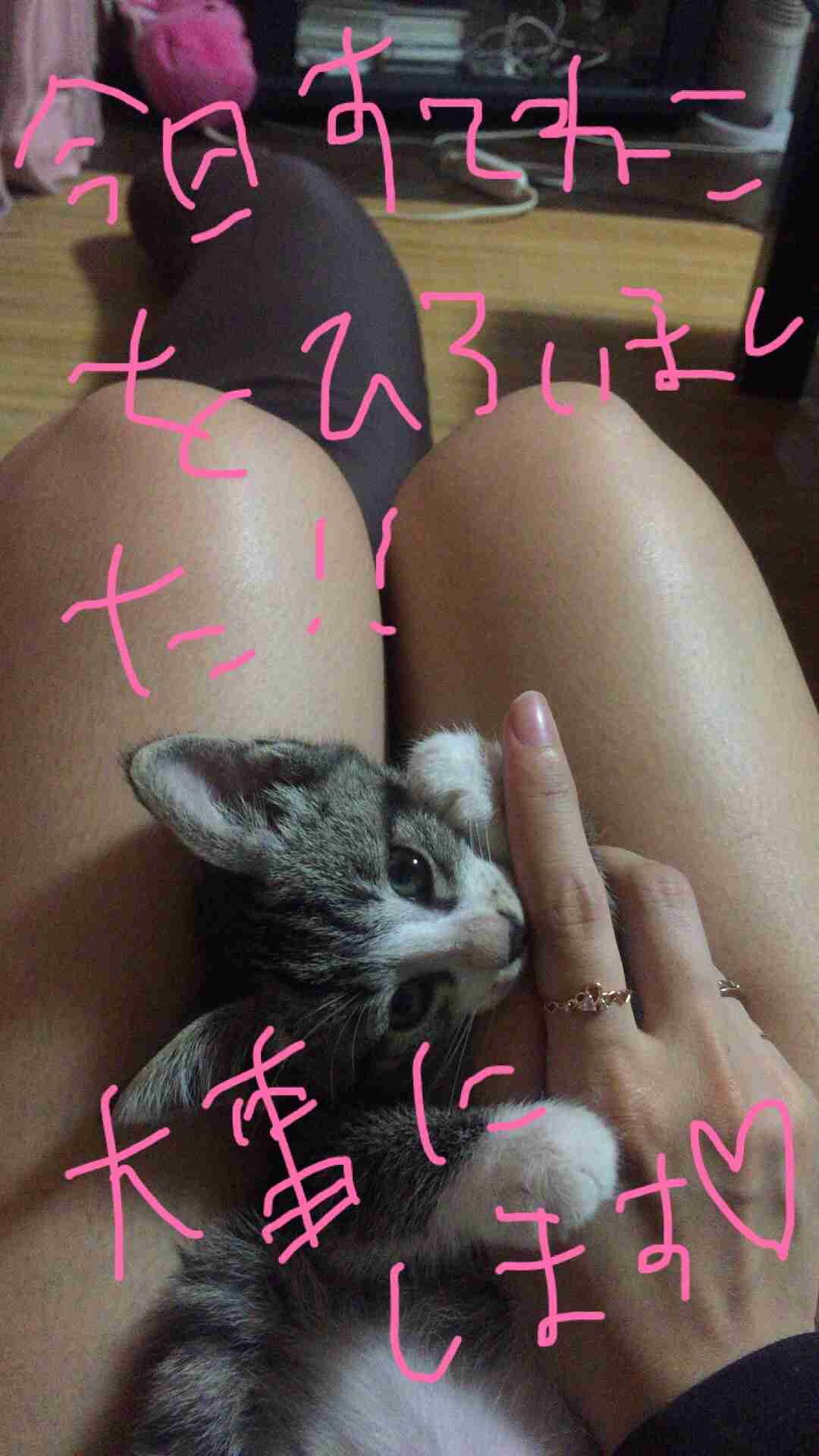 できるだけ文字入力をせずに手書きの文章と絵で話すトピ
