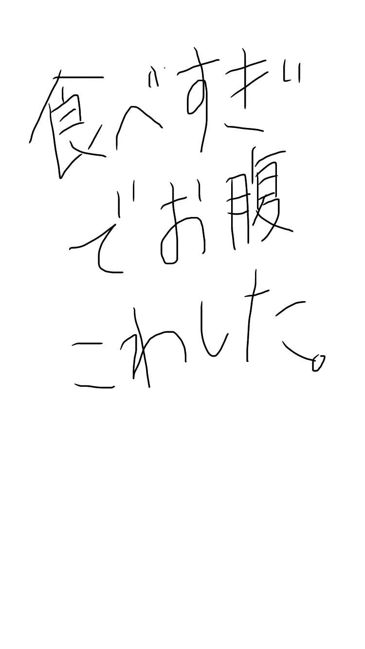 できるだけ文字入力をせずに手書きの文章と絵で話すトピ