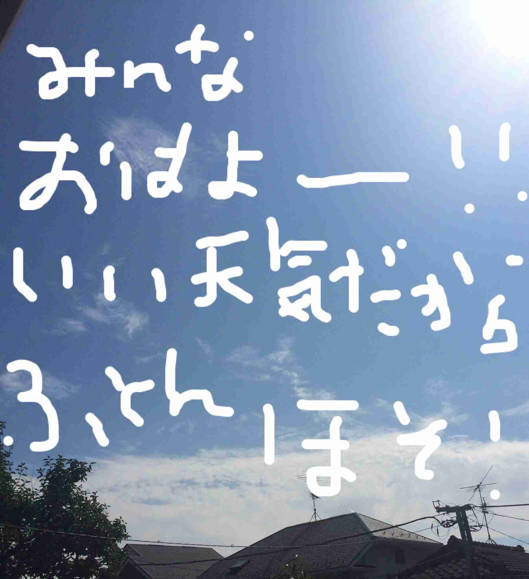 できるだけ文字入力をせずに手書きの文章と絵で話すトピ