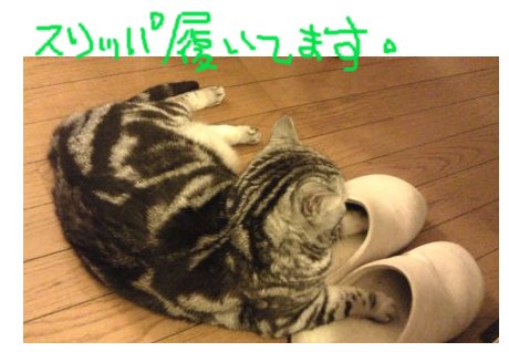 できるだけ文字入力をせずに手書きの文章と絵で話すトピ