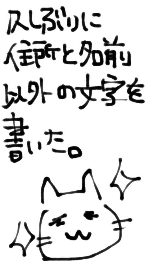 できるだけ文字入力をせずに手書きの文章と絵で話すトピ