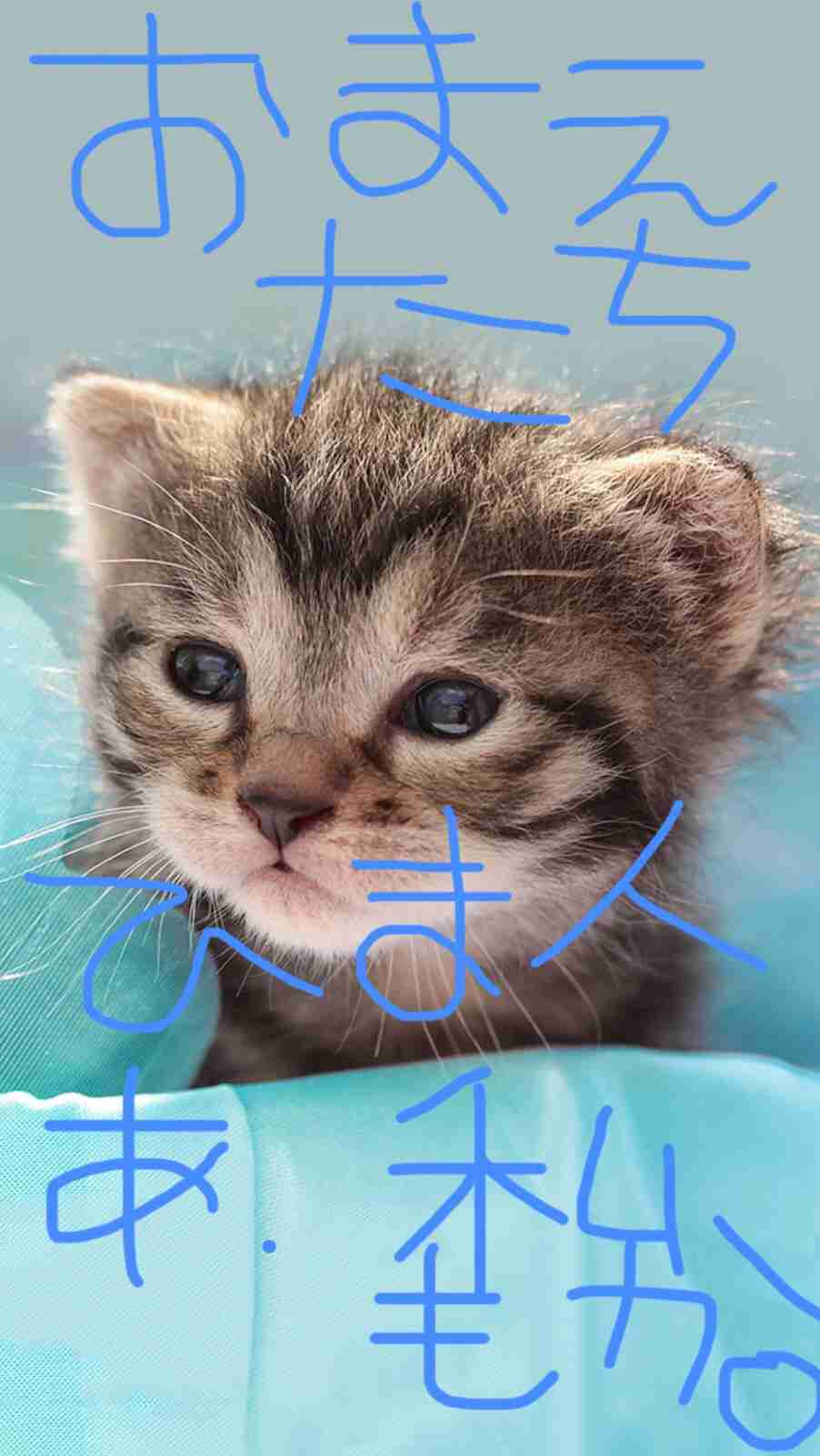 できるだけ文字入力をせずに手書きの文章と絵で話すトピ