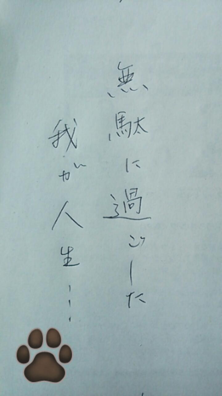 できるだけ文字入力をせずに手書きの文章と絵で話すトピ