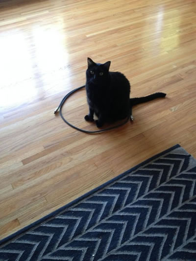 猫が膝から降りてくれない→猫のために作った足型ネコベッドが話題に