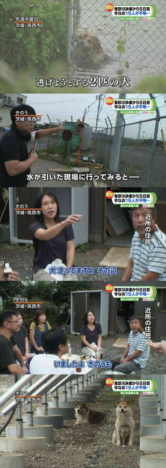 犬の日常生活