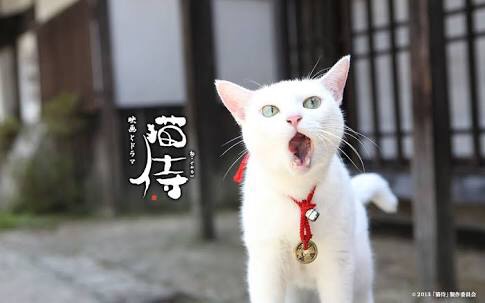 心がホッとする映画教えてください！