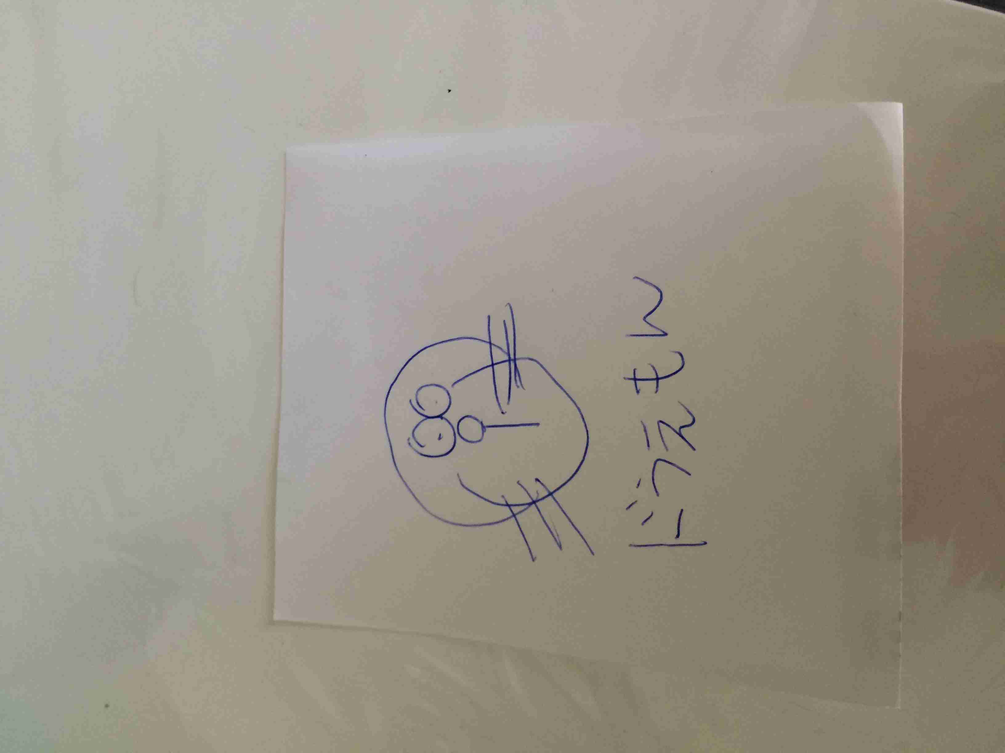 目をつぶって絵を描くトピ！
