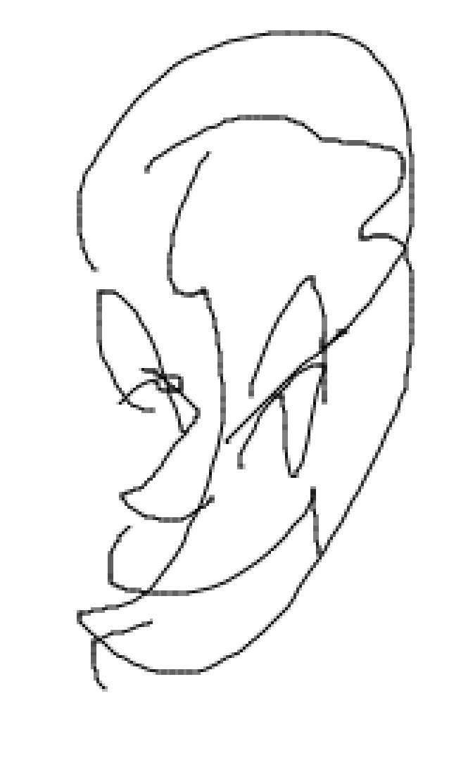 目をつぶって絵を描くトピ！