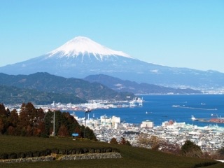 出身地をあげていくトピ