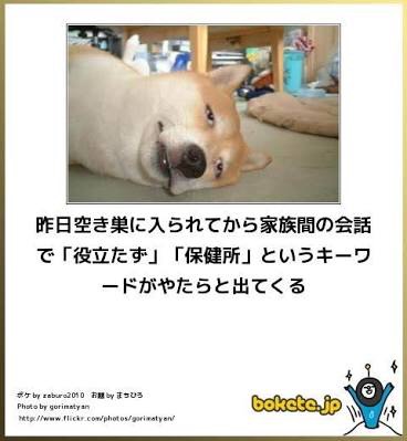 画像付きで話を繋げる雑談トピ 第2弾