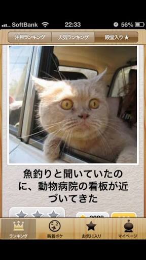 画像付きで話を繋げる雑談トピ 第2弾