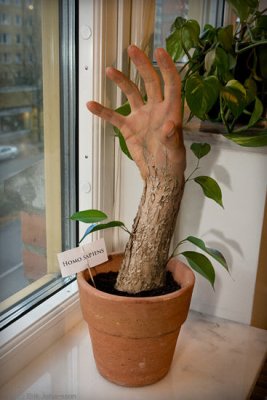 【画像】こんなの誰が使うんだっていうもの