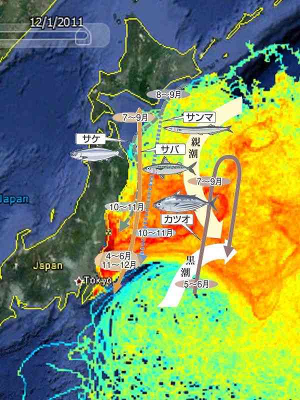 放射能を気にしている人の食事