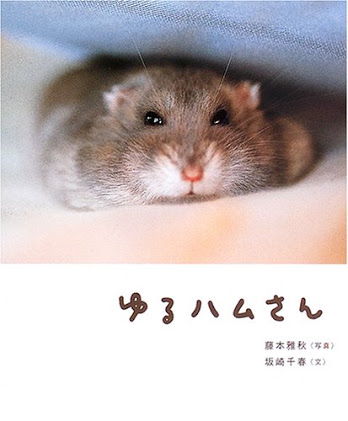 動物や風景の写真集を持っていますか？