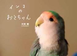 動物や風景の写真集を持っていますか？