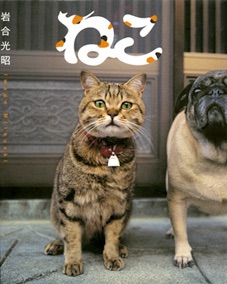 動物や風景の写真集を持っていますか？