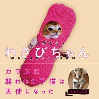 動物や風景の写真集を持っていますか？