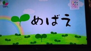 夕方のニュ－ス番組何見てますか［全国区］