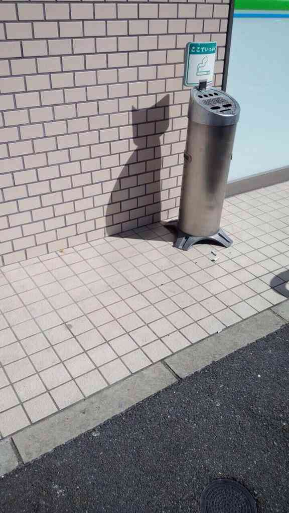 もやもやする画像をひたすら貼っていくトピ