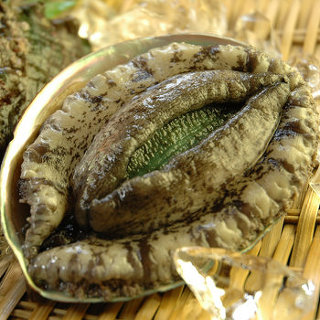 もやもやする画像をひたすら貼っていくトピ