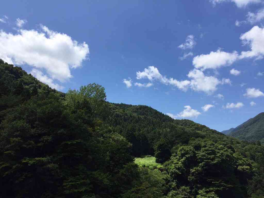 【実況・感想】ナポレオンの村　最終回