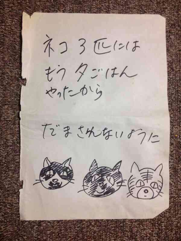 猫のいる生活あるある