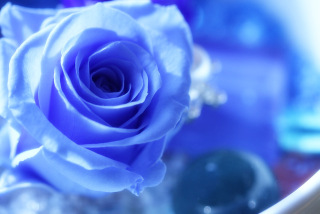 寒色系の画像を貼るトピ