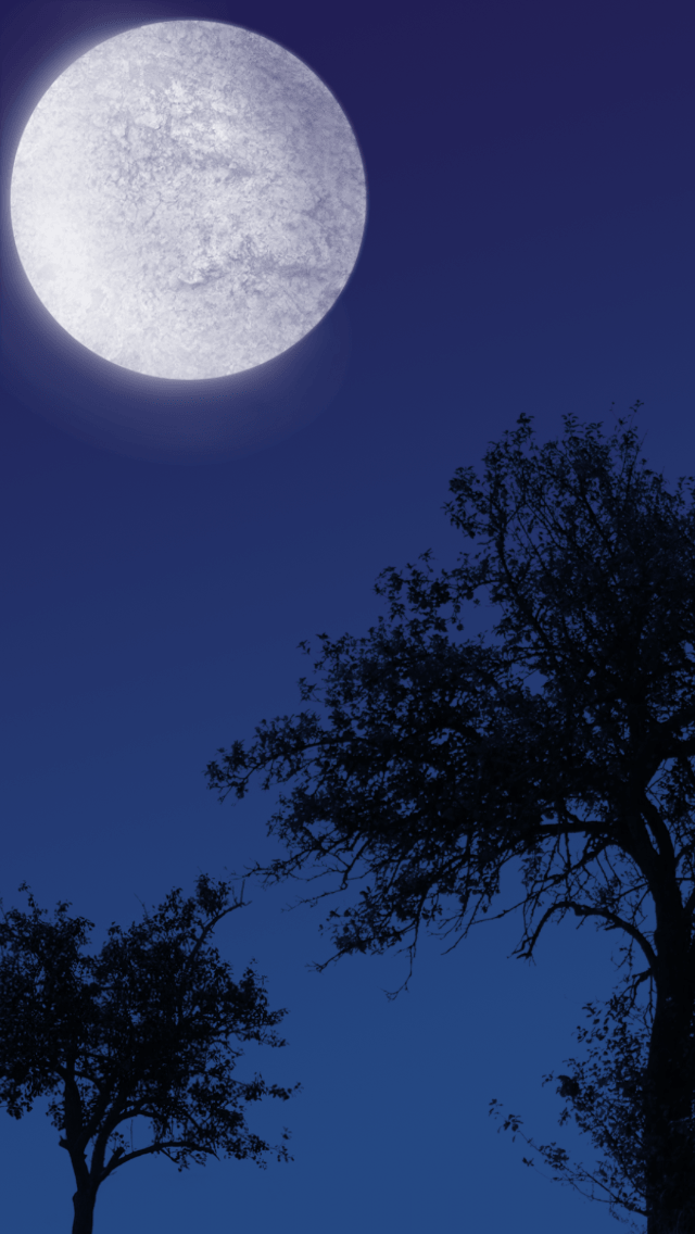 寒色系の画像を貼るトピ