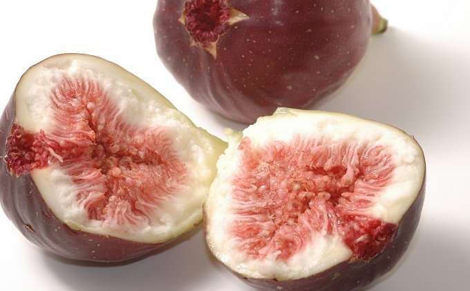 皆は好きなのに自分は美味しいと思わない食べ物は？