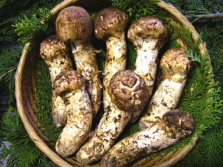 皆は好きなのに自分は美味しいと思わない食べ物は？