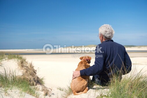 可愛い犬の画像下さい