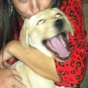 可愛い犬の画像下さい