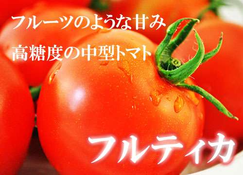 トマトのブランド教えてください