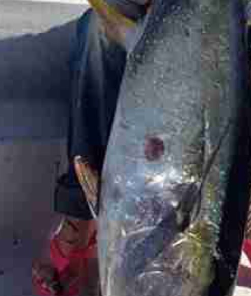 同棲報道の大野智 ジャニーズ事務所の説得ですでに別れを決めた？