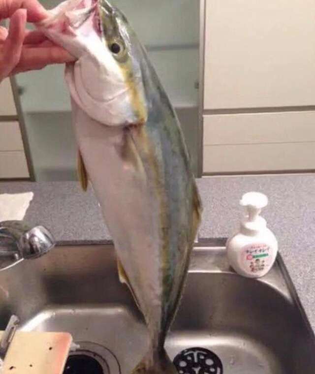 同棲報道の大野智 ジャニーズ事務所の説得ですでに別れを決めた？