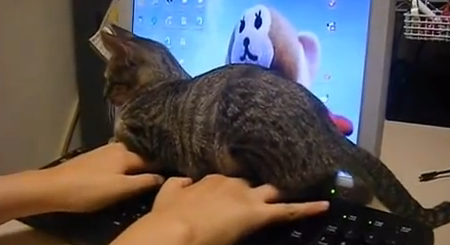 YouTube好きな人!