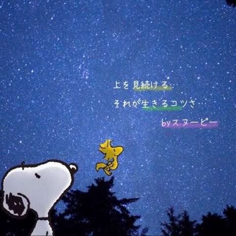 前向きになれる名言・格言
