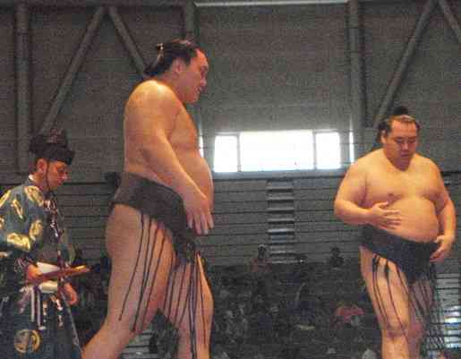 大相撲好きな人語りませんか