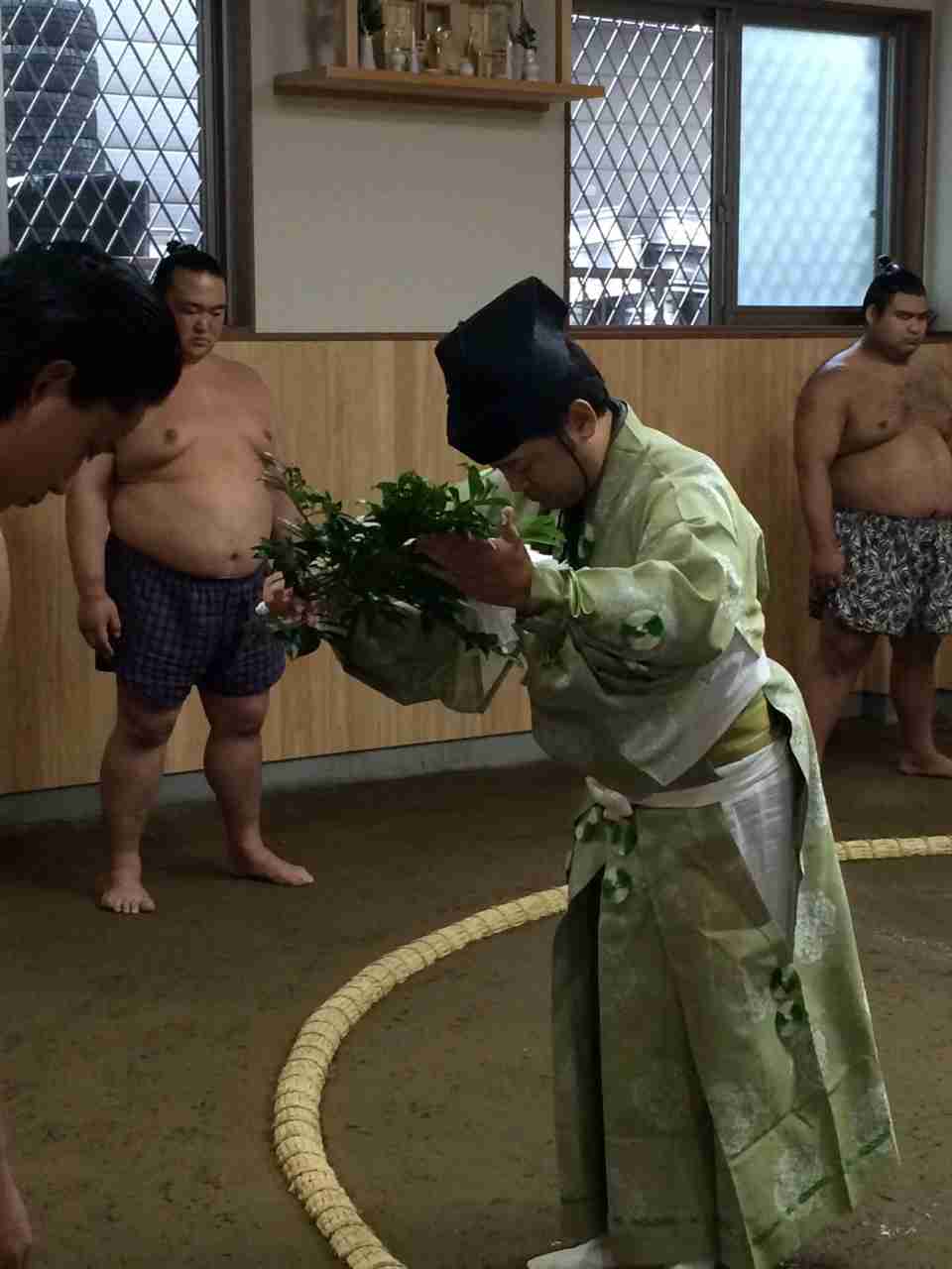 大相撲好きな人語りませんか