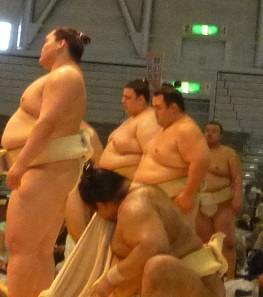 大相撲好きな人語りませんか