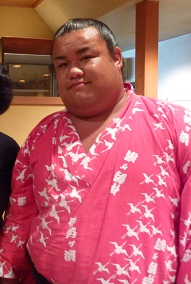 大相撲好きな人語りませんか
