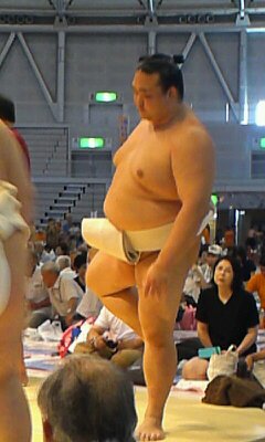 大相撲好きな人語りませんか