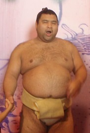 大相撲好きな人語りませんか