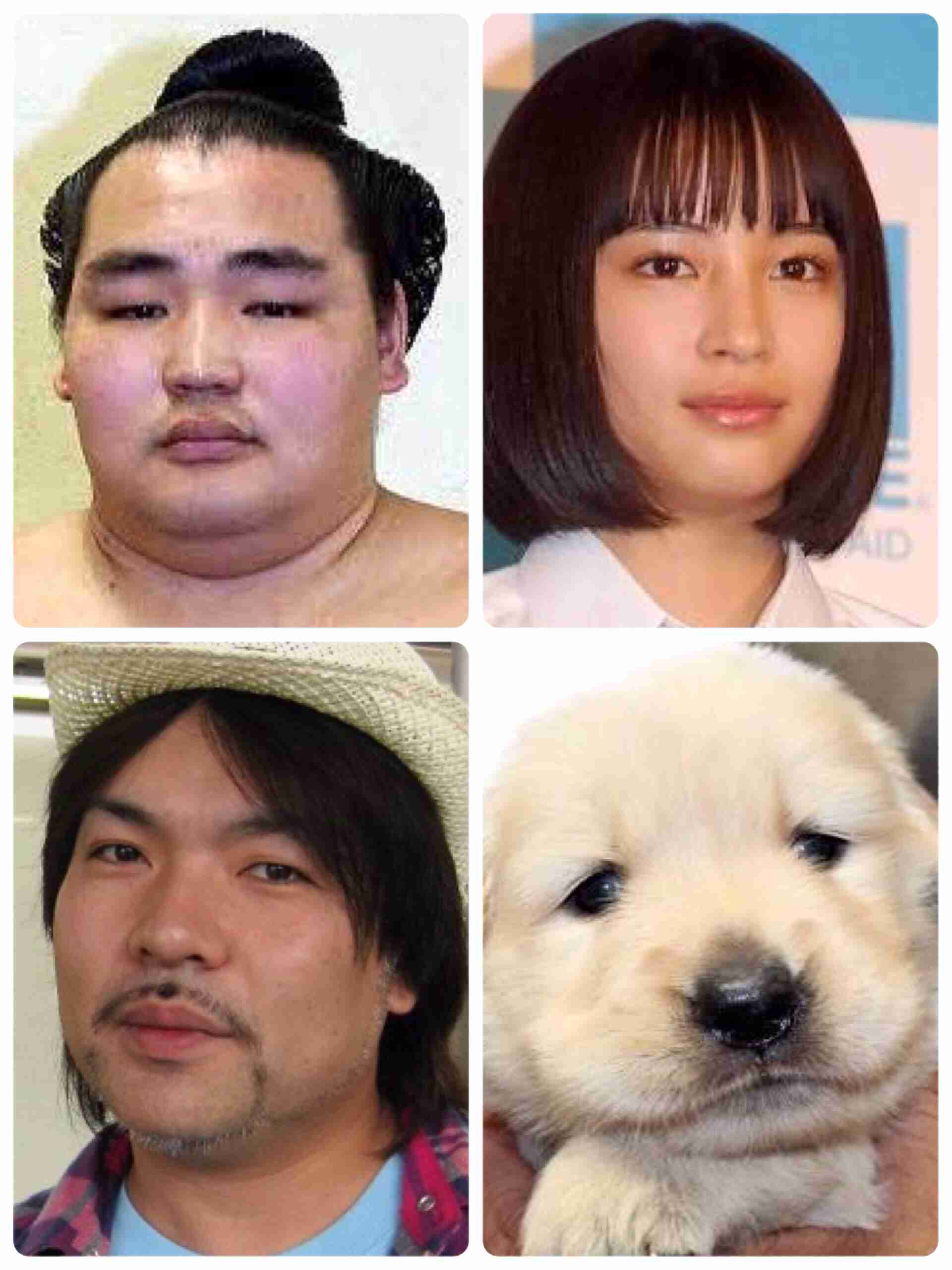 大相撲好きな人語りませんか