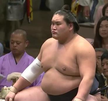大相撲好きな人語りませんか