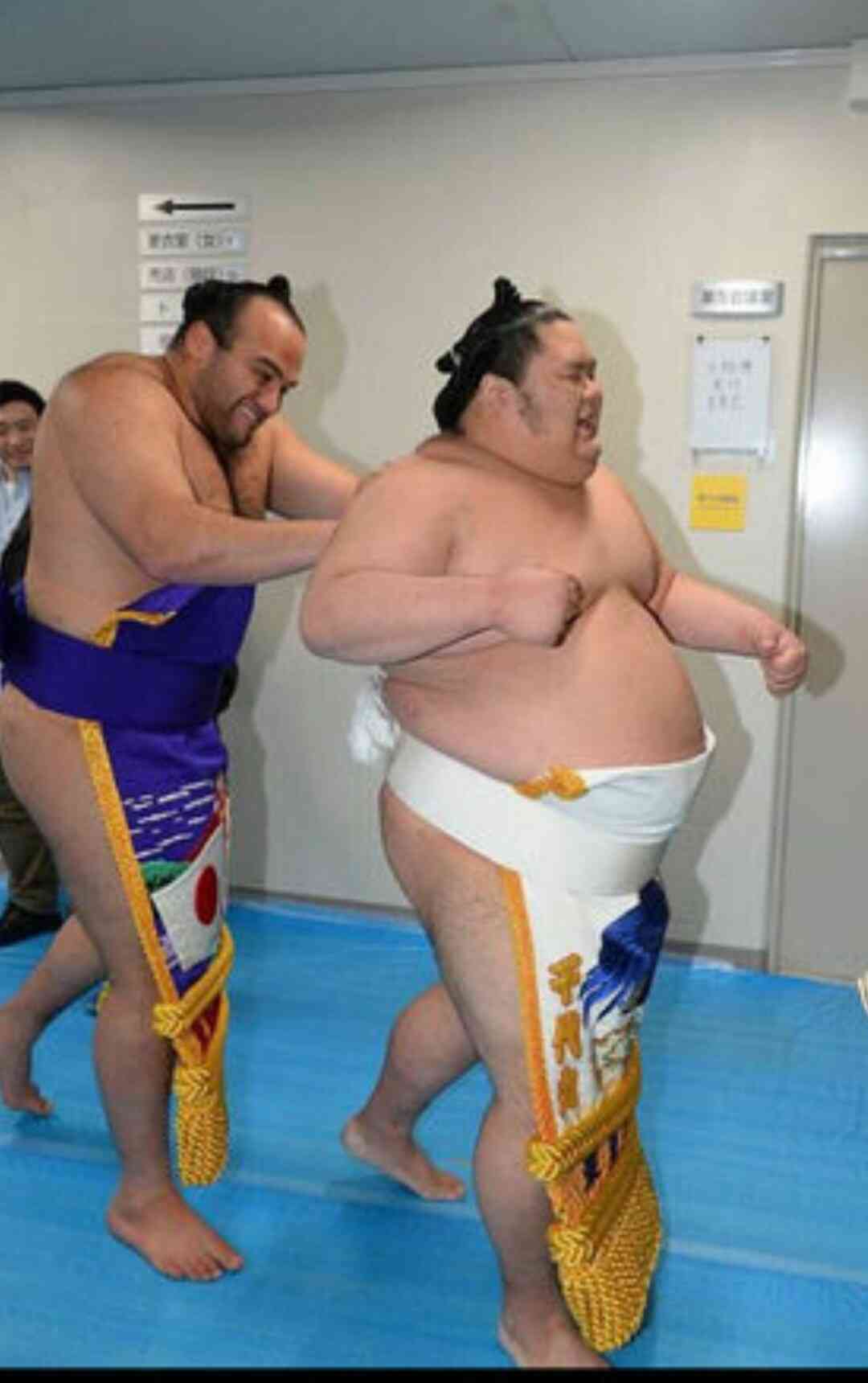 大相撲好きな人語りませんか