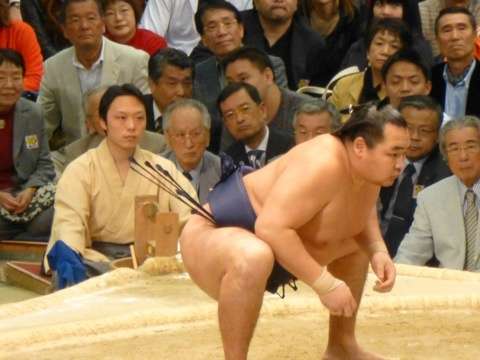 大相撲好きな人語りませんか