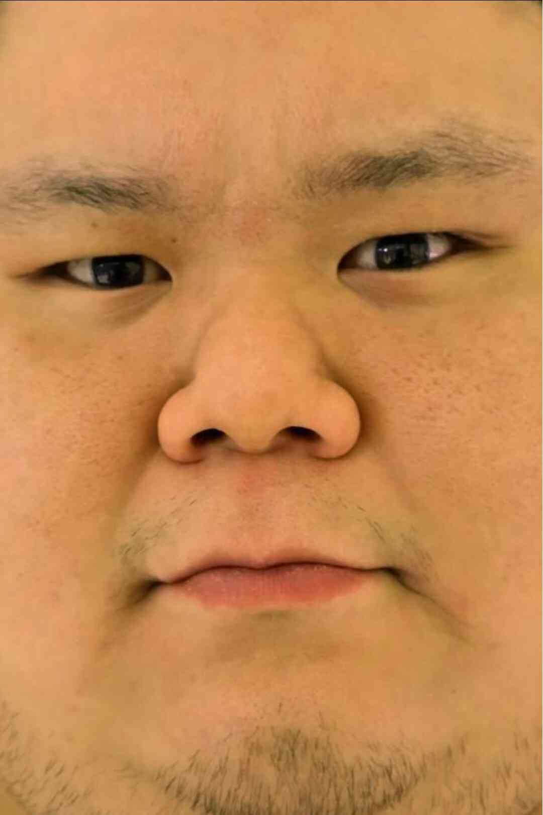 大相撲好きな人語りませんか