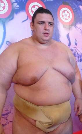 大相撲好きな人語りませんか