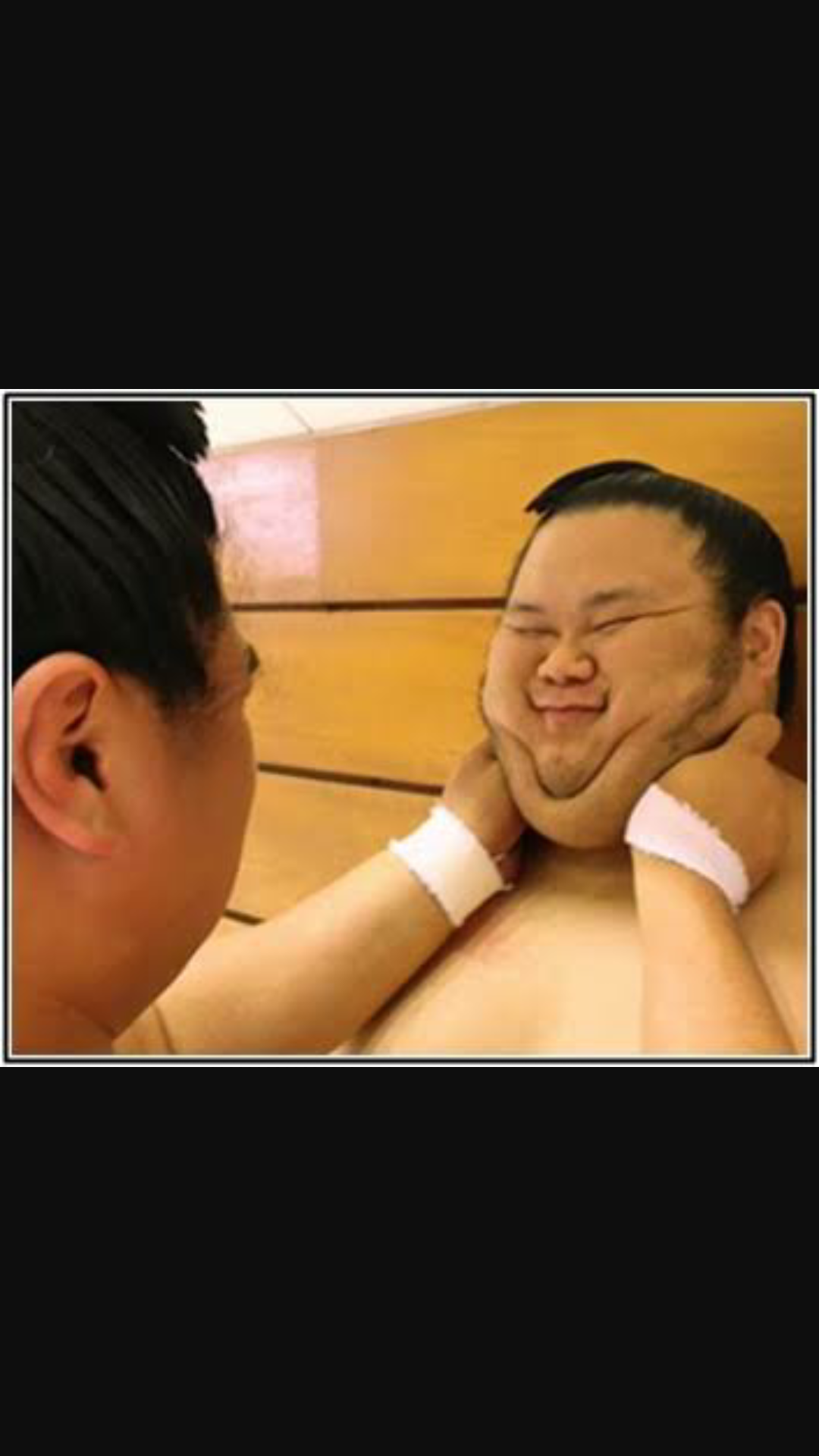 大相撲好きな人語りませんか